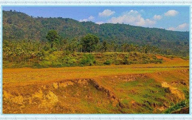 ছবি: সংগৃহিত।