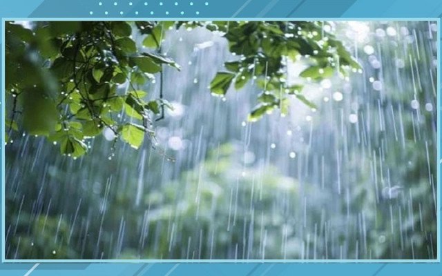 ছবি: সংগৃহিত।