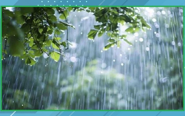 ছবি: সংগৃহিত।