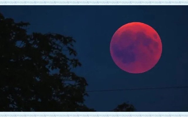 ছবি: সংগৃহীত।