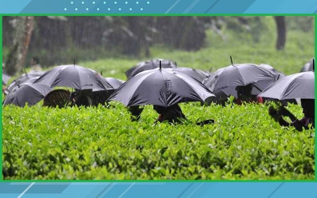 ছবি: সংগৃহীত।