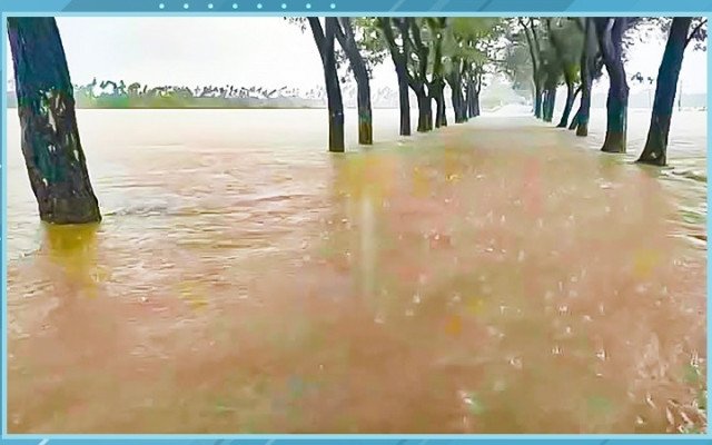 ছবি: সংগৃহীত।
