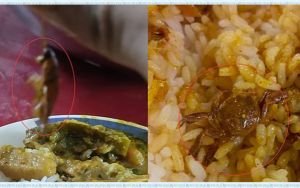 ঢাকা বিশ্ববিদ্যালয়ের হল ক্যানটিনে খাবারে কাঁকড়া ,মাছি ও পোকা