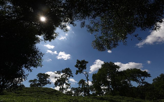 শরৎ প্রায় বিদায় নিচ্ছে, আর হেমন্ত যেন ধীরে ধীরে প্রাকৃতিক রঙের পাল্টা ছোঁয়া আনছে