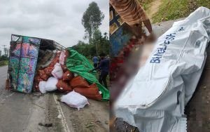 ঢাকা-সিলেট মহাসড়কে ট্রাক-পিকআপ সংঘ*র্ষে সবজি ব্যবসায়ী নিহ*ত