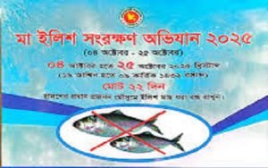 ভেদরগঞ্জে প্রকাশ্য মা ইলিশ বেচাকেনা, হুমকিতে ইলিশ সংরক্ষণ অভিযান