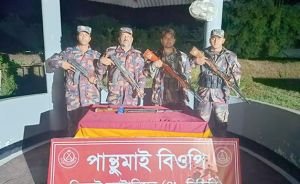 সিলেটে সবজি ক্ষেতের মাটির নিচে ভারতীয় অ*স্ত্র