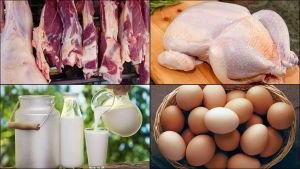 সিলেটে কম দামে গরুর মাংস, দুধ ও ডিম, কোথায় মিলবে সরকারি এই সুবিধা?