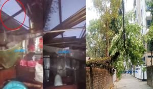 সিলেটে ঝড়-শিলা বৃষ্টিতে উড়ে গেছে ঘরের টিন, ভেঙে পড়েছে গাছ