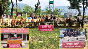 সিলেট সীমান্তে বড় ধরনের অভিযানে বিজিবি: জব্দ প্রায় কোটি টাকার পণ্য