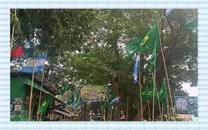 এক টাকা, একটা ব্যাটারি আর একরাশ ব্রাজিল-প্রেম