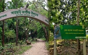 হবিগঞ্জের সাতছড়ি-রেমায় গাছ লু/টের ‘মাস্টারমাইন্ড’ কারা? গোপন নথিতে সরকারি দলের নেতাকর্মীসহ ৬২ জনের নাম