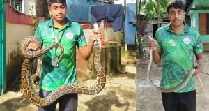 সিলেট নগরীতে ৬ ফুট লম্বা অজগর উদ্ধার, সালুটিকরে মিললো দুধরাজ