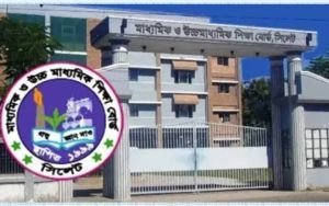 সিলেট বোর্ডে ফেল থেকে পাস ১৮৬, জিপিএ-৫ পেলেন ১২১ জন