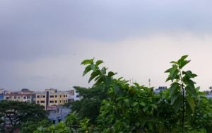 সিলেটে বৃষ্টির আভাস, দেশের সর্বোচ্চ বৃষ্টিপাত শ্রীমঙ্গলে