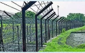 বাংলাদেশি ভেবে দুই ভারতীয়কে গুলি করে ফেলে গেলো বিএসএফ