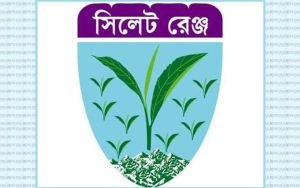 সিলেটে দুর্গাপূজায় পুলিশের ১২ নির্দেশনা