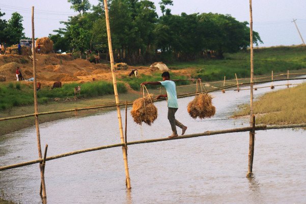 ছবি: ইমজা নিউজ