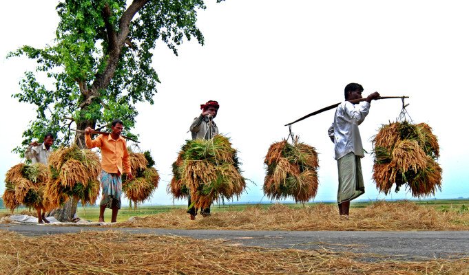ছবি: ইমজা নিউজ