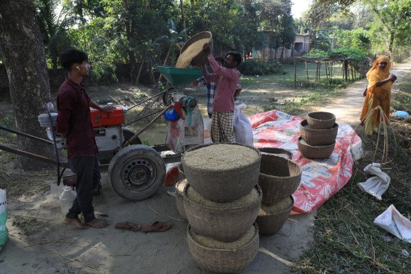 ছবি: ইমজা নিউজ