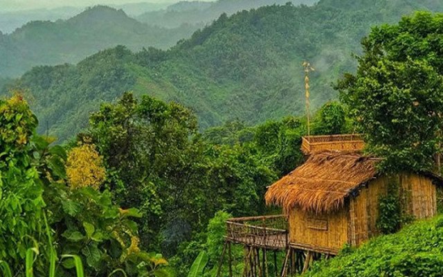 ছবি- সংগ্রহ