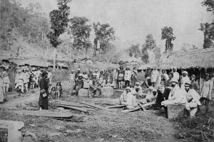 চা–শ্রমিকদের রক্তে লেখা ইতিহাস ‘মুল্লুক চলো\'