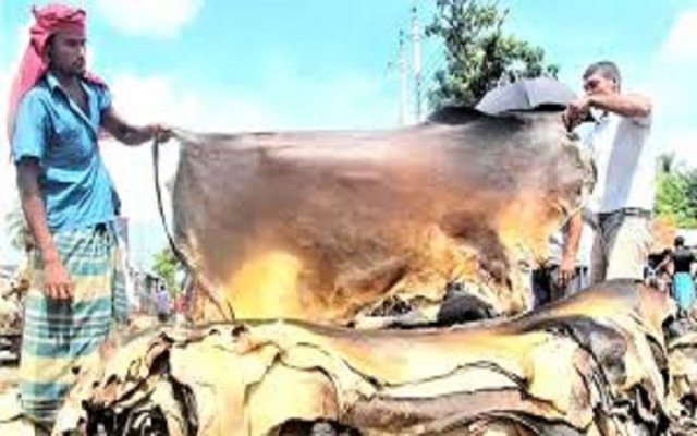 ছবি- সংগ্রহ