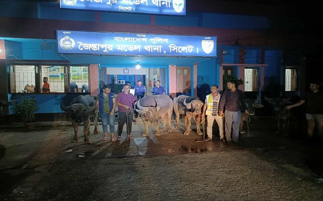 ছবি: সংগ্রহ