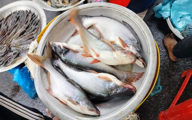 ছবি: সংগ্রহ