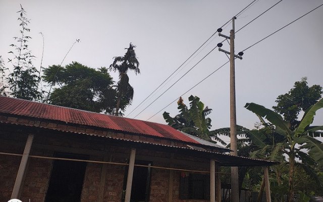 ছবি: সংগৃহিত।