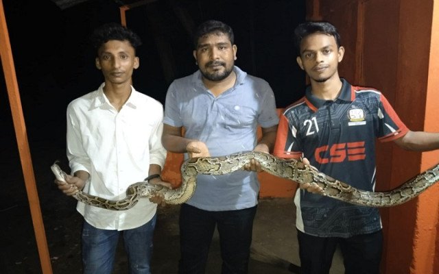 ছবি: ইমজা নিউজ