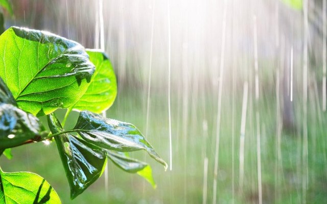 ছবি: সংগৃহিত।