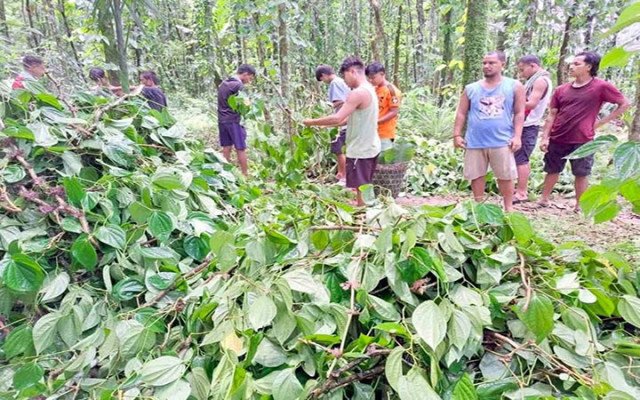 ছবি: সংগৃহিত।