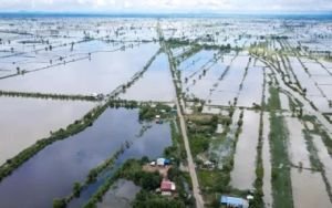 ২১ জেলায় ডুবেছে ৭২ হাজার হেক্টর ফসলি জমি