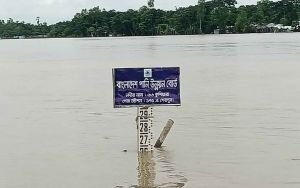 কুশিয়ারায় পানি বাড়ছে