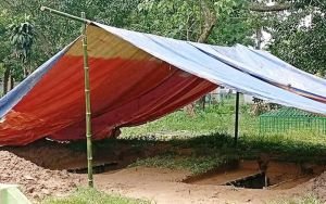 একসাথে পথচলা, একসাথেই শেষ বিদায়