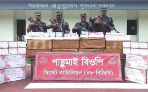 সিলেট-সুনামগঞ্জ সীমান্তে আড়াই কোটি টাকার চোরাচালানী পণ্য জব্দ