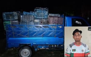 জৈন্তাপুরে ভারতীয় এলাচসহ পিকআপ আটক, যুবক গ্রেপ্তার