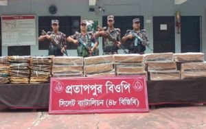 সিলেট সীমান্তে কোটি টাকা মূল্যের চোরাই পণ্য জব্দ