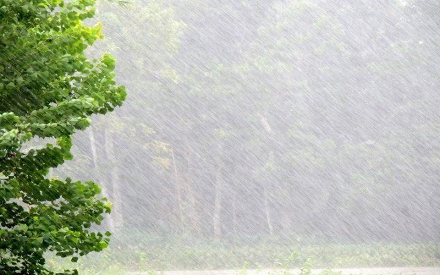 ছবি: সংগৃহিত।