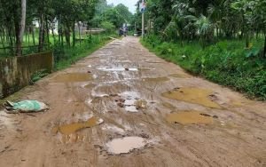 বিয়ানীবাজারের মুরাদগঞ্জ-গোডাউনবাজার সড়কের বেহাল দশা