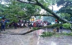 আড়াই ঘন্টা পর সিলেট-তামাবিল সড়কে যান চলাচল স্বাভাবিক