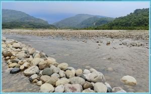 কর্তৃপক্ষের অবহেলা খুঁজতে ৫ সদস্যের উচ্চতর তদন্ত কমিটি