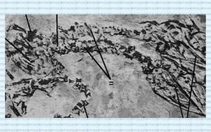 ১২ কোটি বছরের পুরনো দুই মাথাওয়ালা ডাইনোসরের জীবাশ্ম আবিষ্কার