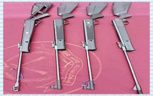 জাফলংয়ে বিজিবির অভিযানে ভারতীয় অস্ত্র উদ্ধার