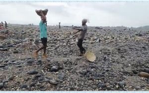 সাদা পাথরে প্রতিস্থাপন চলছে, লুট হওয়া পাথর উদ্ধারে অভিযান অব্যাহত